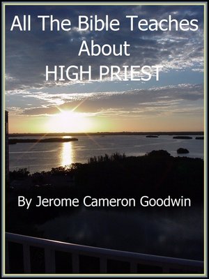 cover image of HIGH PRIEST